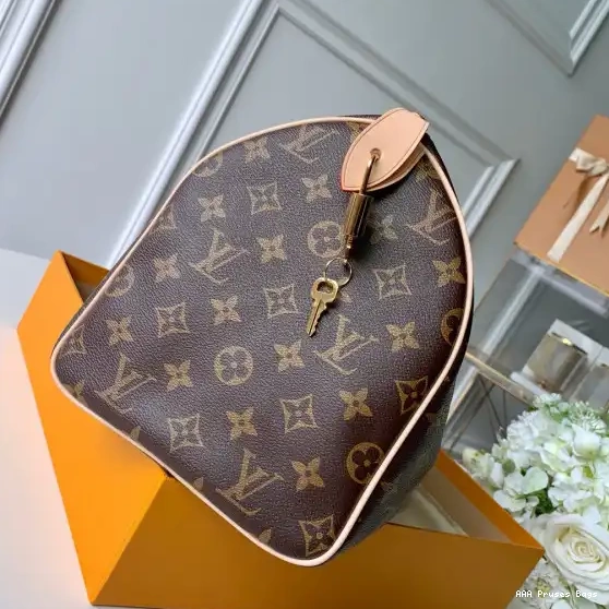 AAA Pruses Bags Louis Vuitton SPEEDY 30 0629